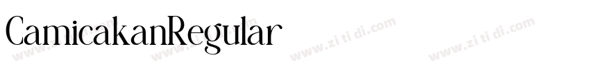 CamicakanRegular字体转换 CamicakanRegular字体转换