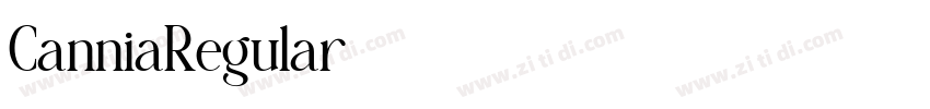 CanniaRegular字体转换