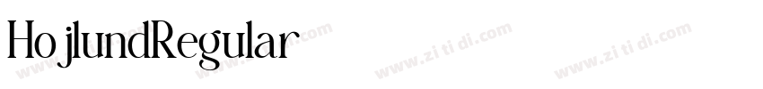 HojlundRegular字体转换