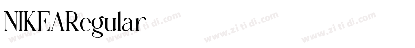 NIKEARegular字体转换