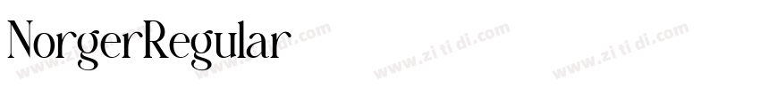 NorgerRegular字体转换 NorgerRegular字体转换