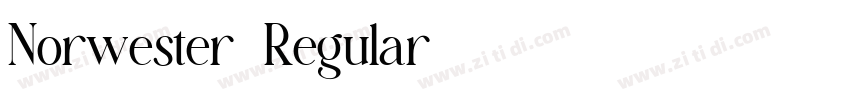 Norwester-Regular字体转换