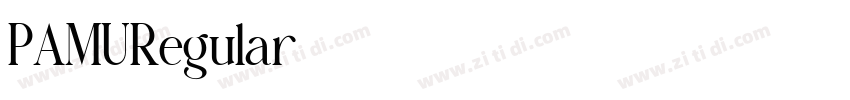 PAMURegular字体转换