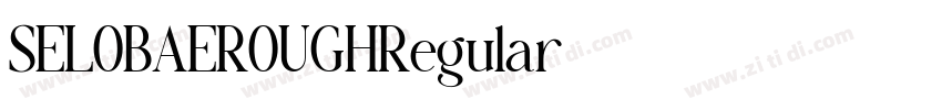 SELOBAEROUGHRegular字体转换 SELOBAEROUGHRegular字体转换
