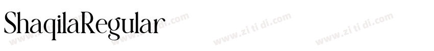 ShaqilaRegular字体转换