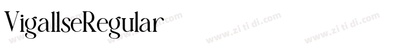VigallseRegular字体转换 VigallseRegular字体转换