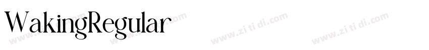 WakingRegular字体转换 WakingRegular字体转换