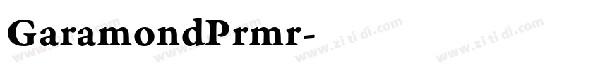 GaramondPrmr字体转换