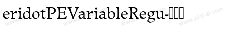 eridotPEVariableRegu字体转换