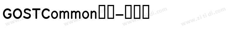 GOSTCommon字体字体转换