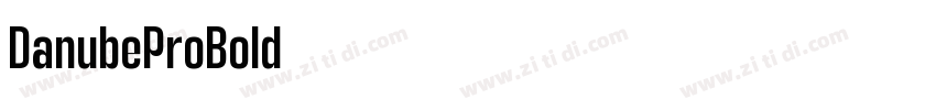 DanubeProBold字体转换