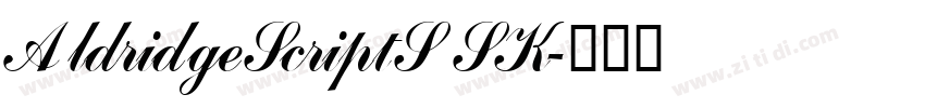 AldridgeScriptSSK字体转换