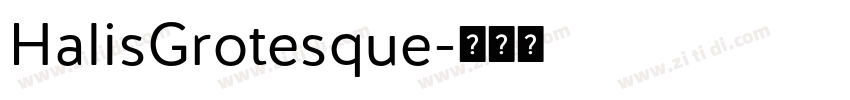 HalisGrotesque字体转换