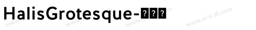 HalisGrotesque字体转换