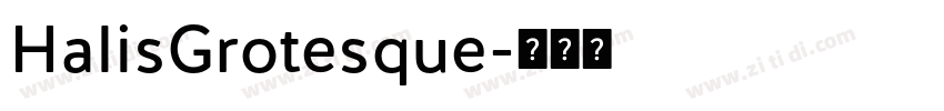 HalisGrotesque字体转换