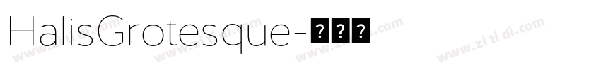 HalisGrotesque字体转换