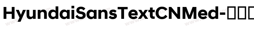 HyundaiSansTextCNMed字体转换