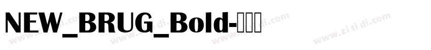 NEW_BRUG_Bold字体转换