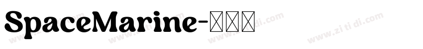 SpaceMarine字体转换