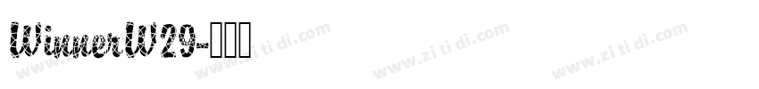 WinnerW29字体转换