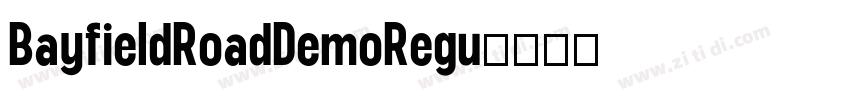 BayfieldRoadDemoRegu字体转换