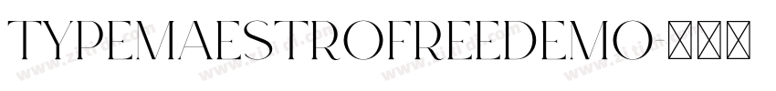 TypeMaestroFreeDemo字体转换