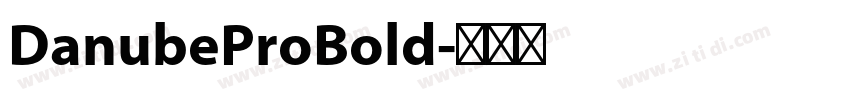DanubeProBold字体转换