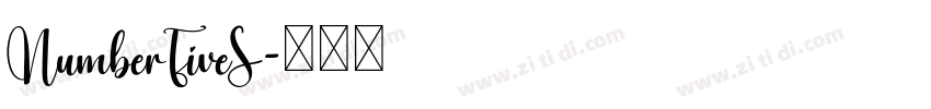 NumberFiveS字体转换