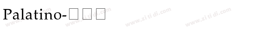 Palatino字体转换
