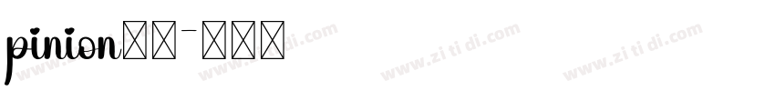 pinion字体字体转换