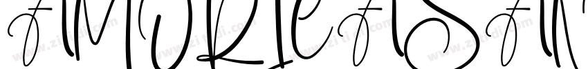 AMORICASANSRegular字体转换