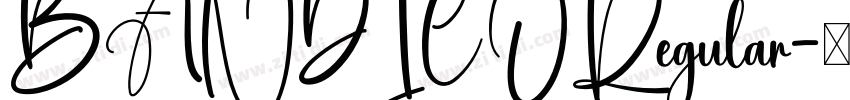 BANDICORegular字体转换