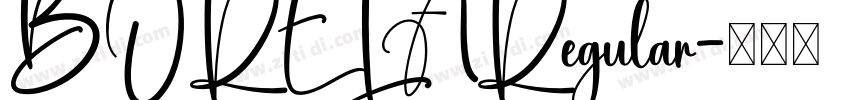 BORELARegular字体转换