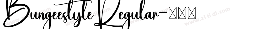 BungeestyleRegular字体转换
