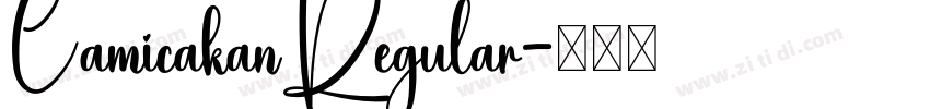 CamicakanRegular字体转换