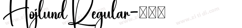 HojlundRegular字体转换