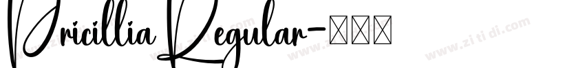 PricilliaRegular字体转换