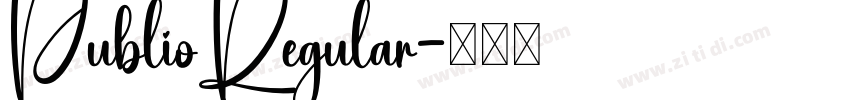 PublioRegular字体转换