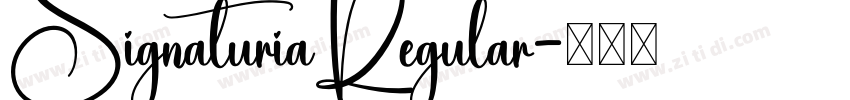SignaturiaRegular字体转换