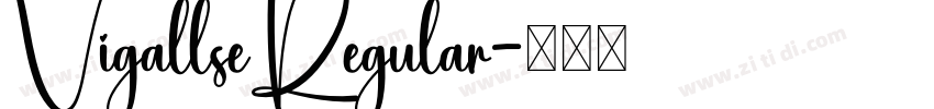 VigallseRegular字体转换