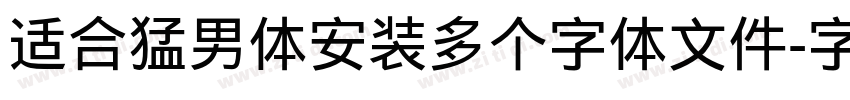 适合猛男体安装多个字体文件字体转换