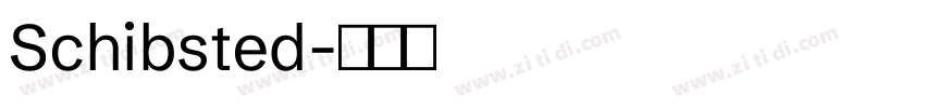 Schibsted字体转换 Schibsted字体转换