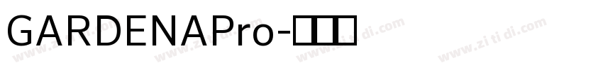 GARDENAPro字体转换