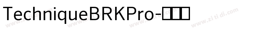 TechniqueBRKPro字体转换