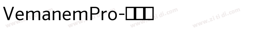 VemanemPro字体转换