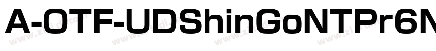 A-OTF-UDShinGoNTPr6N字体转换