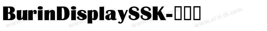 BurinDisplaySSK字体转换
