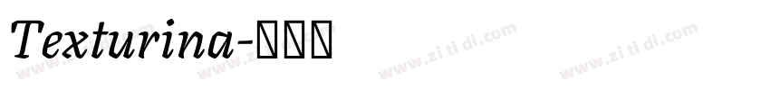 Texturina字体转换