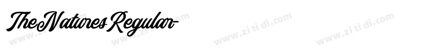 TheNaturesRegular字体转换 TheNaturesRegular字体转换