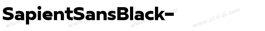 SapientSansBlack字体转换